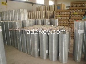 Welded Wire Mesh (ISO9001 factory)