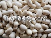 white kidney beans , broad beans, chickpeas