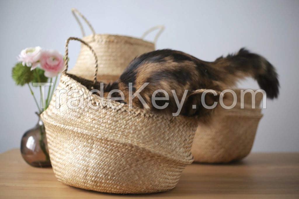 Seagrass belly baskets/ Storage seagrass basket with holders