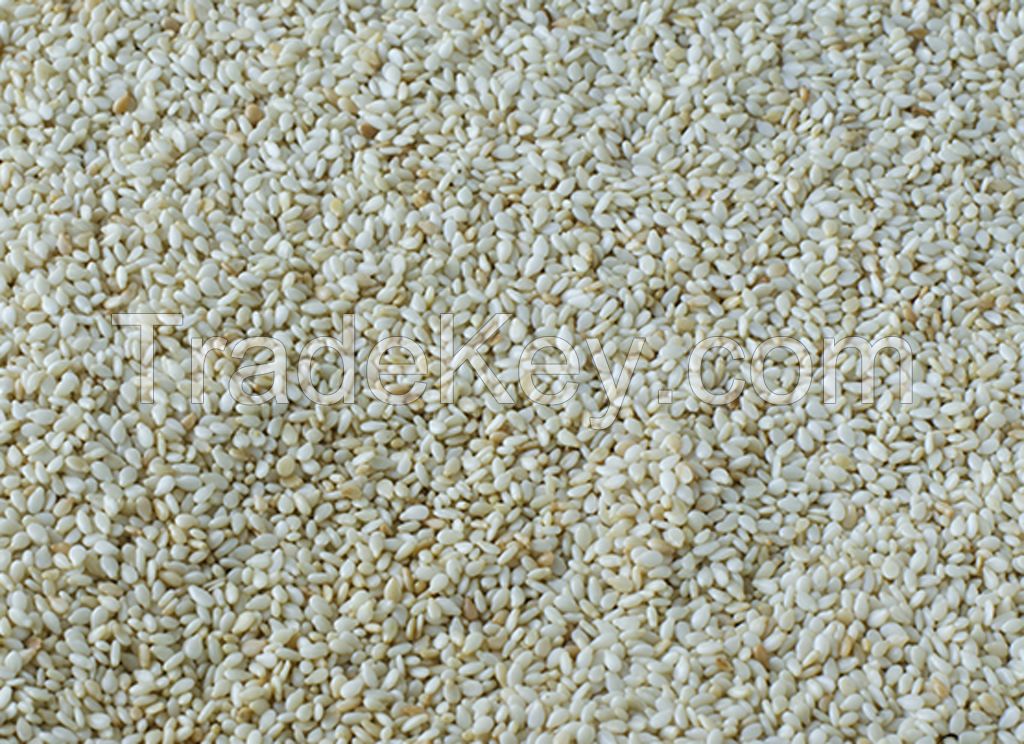 Sesame Seeds