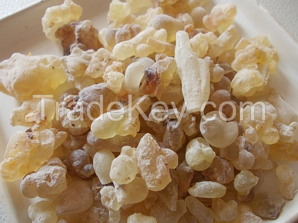 Frankincense Olibanum