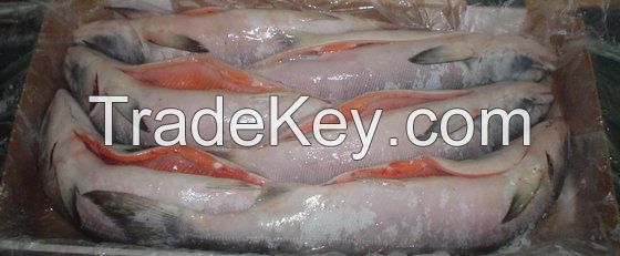 FROZEN ATLANTIC SALMON FISH