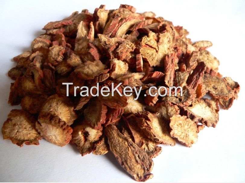 Sell Radix Salviae Miltiorrhizae/Dan Shen/ Danshen Root/Chinese Herb/Salvia Root