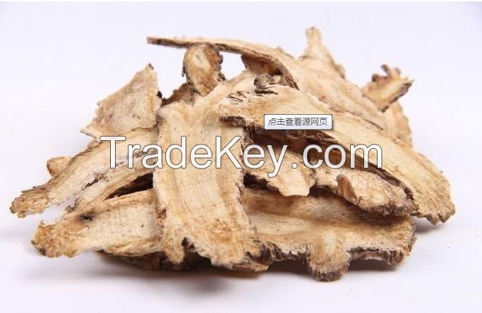 Radix Angelicae Sinensis/Chinese Angelica/Angelicae Sinensis/Dang gui/herb