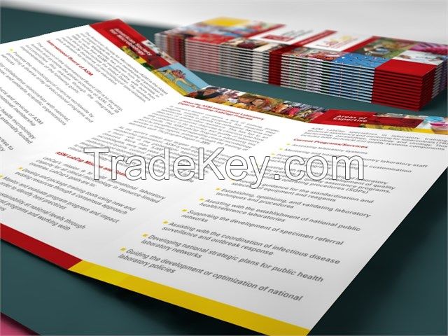 Custom four colors printing brochures
