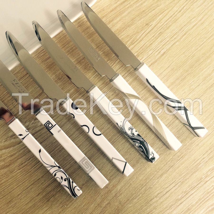 stainless steel  fruit knife set with plastic handle