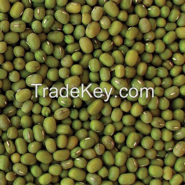 Green Mung Beans