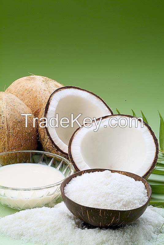 Coconut milk powder