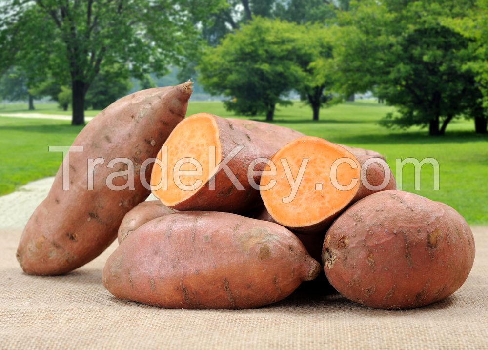 Sweet Potatoes (Prepacked)
