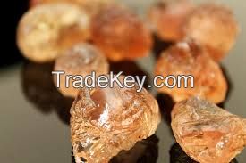 Gum Arabic - Acacia Senegal & Acacia Seyal