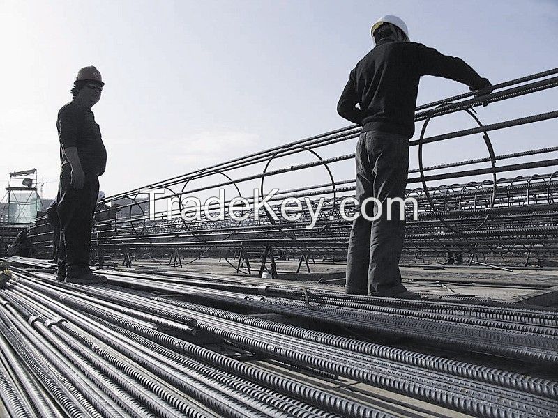 steel rebars /hotrolled ribbed bars