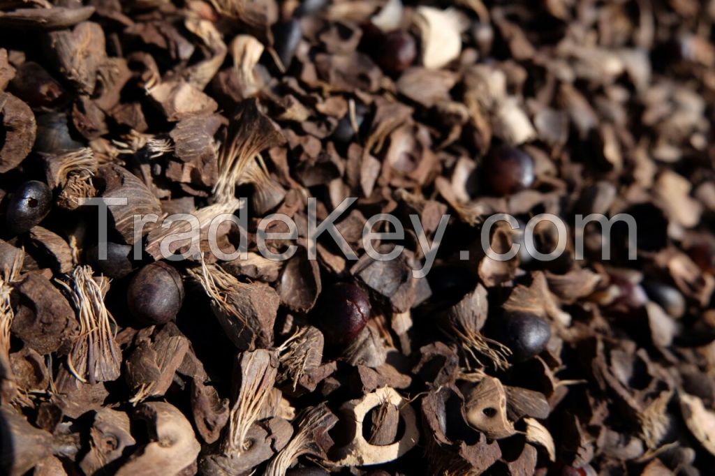 Palm Kernel Shell