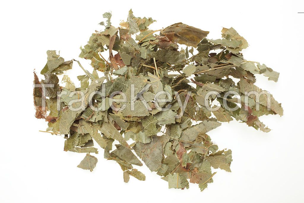 Epimedium Extract  best quality powder