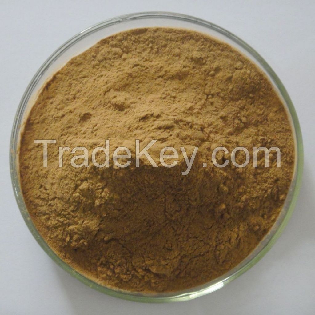 Green Coffee Bean Extract best quality 