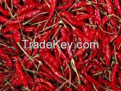 Red Chilies