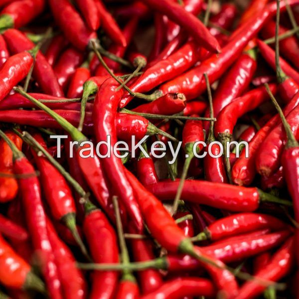 Red Chilies