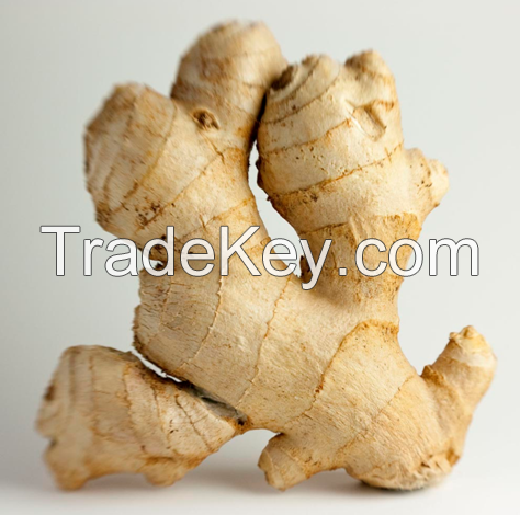 SPLIT DRIED GINGER