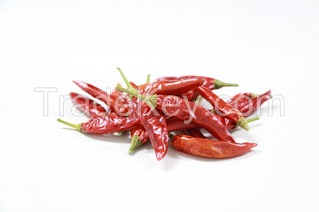 Red Chilies 