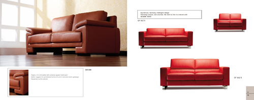 sofa/new design
