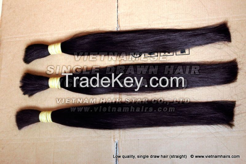Hotsale Octorber, 2016 Human hair, Vietnamese Hair, Raw Hair wholesale price