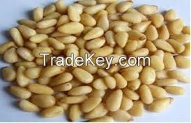 Siberian Pine Nuts Kernels