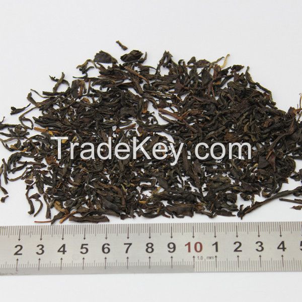 black tea dianhong export