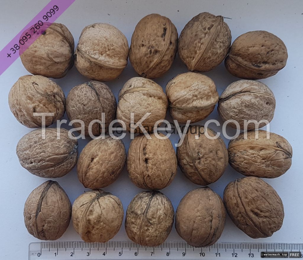 Walnut Kernels. Extra Light Halves (80%)