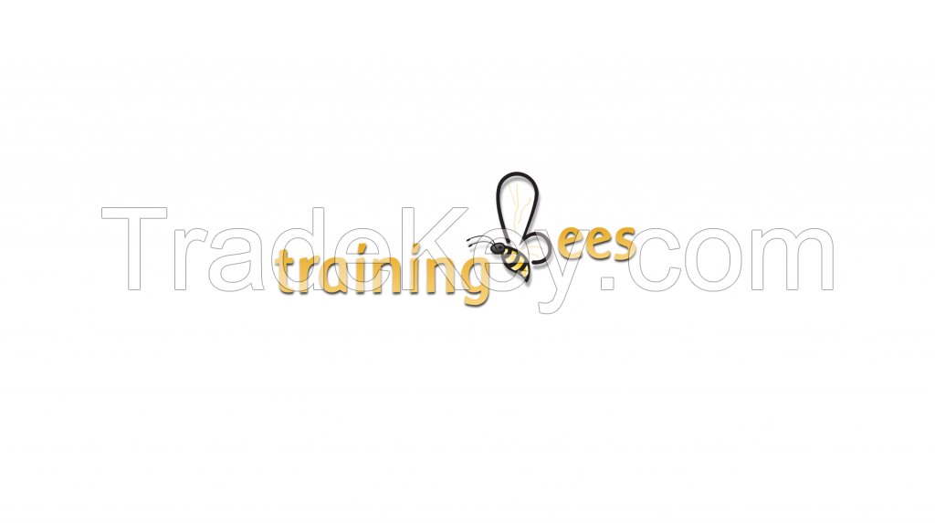 hadoop online training