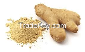 Dehydrated Ginger Powder