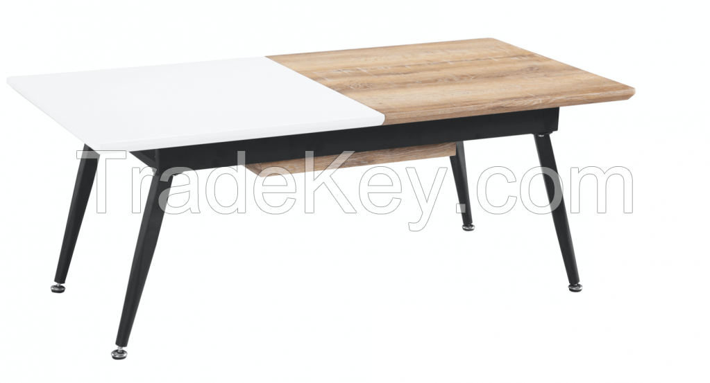 Conceptual Modern Coffee Table with Storage