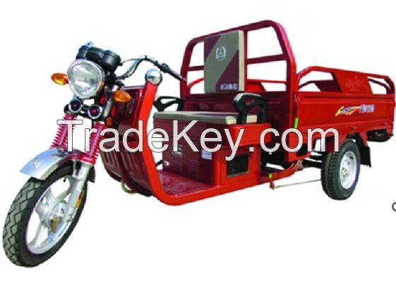 E-rickshaw electric tricycle taxi 