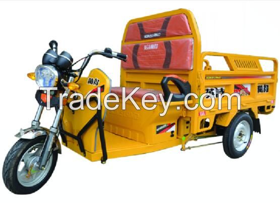 E-rickshaw electric tricycle taxi 