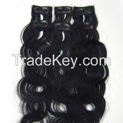Clip in Human Hair Weft