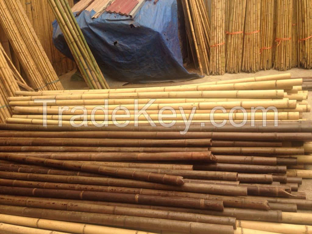BAMBOO POLES DIFFERENT SIZE