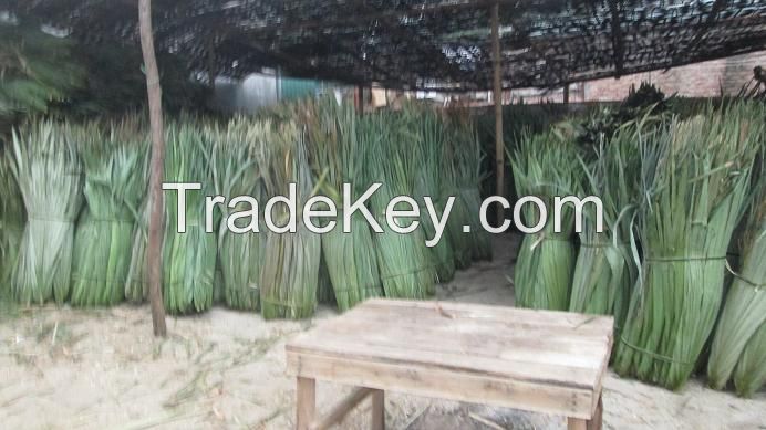 Simple and easy fashion nice palm thatch leaves