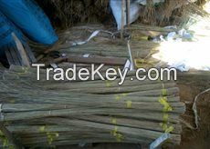 Export coconut broom/ Handicraft/ flower basket