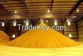 Distellery Dried Grain With Soluble (ddgs)