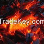 Restaurant grade highest quality hardwood charcoal from Paraguay