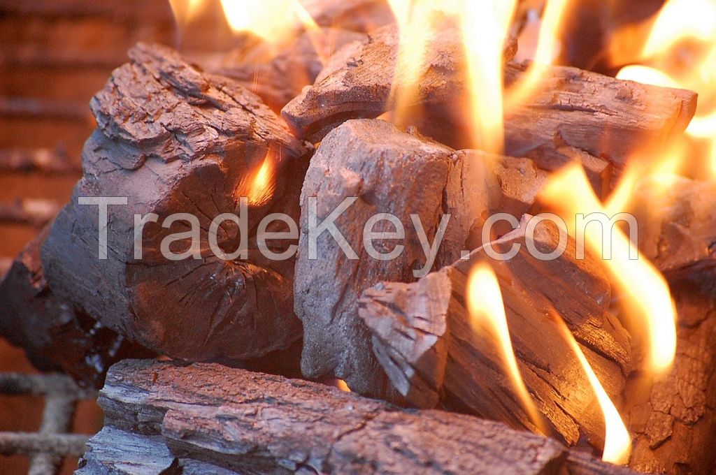 Natural hardwood charcoal from paraguay