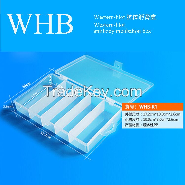 Western-blot antibody incubation box