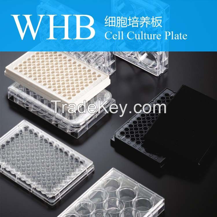 Plastic Deep Wells Cell Culture Plate