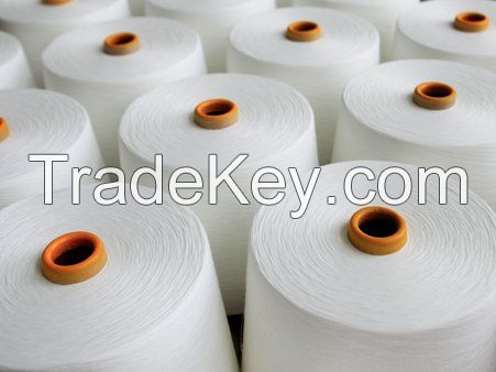 100% polyester yarn 50/75/100/150D raw white /DDB dope dyed black