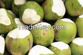 FRESH YOUNG COCONUTS