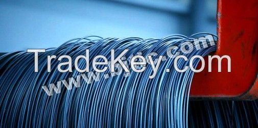 Titanium wire