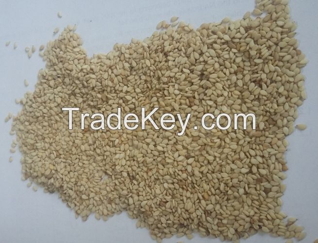 Nigerian Sesame Seeds | Sesame Seed Supplier