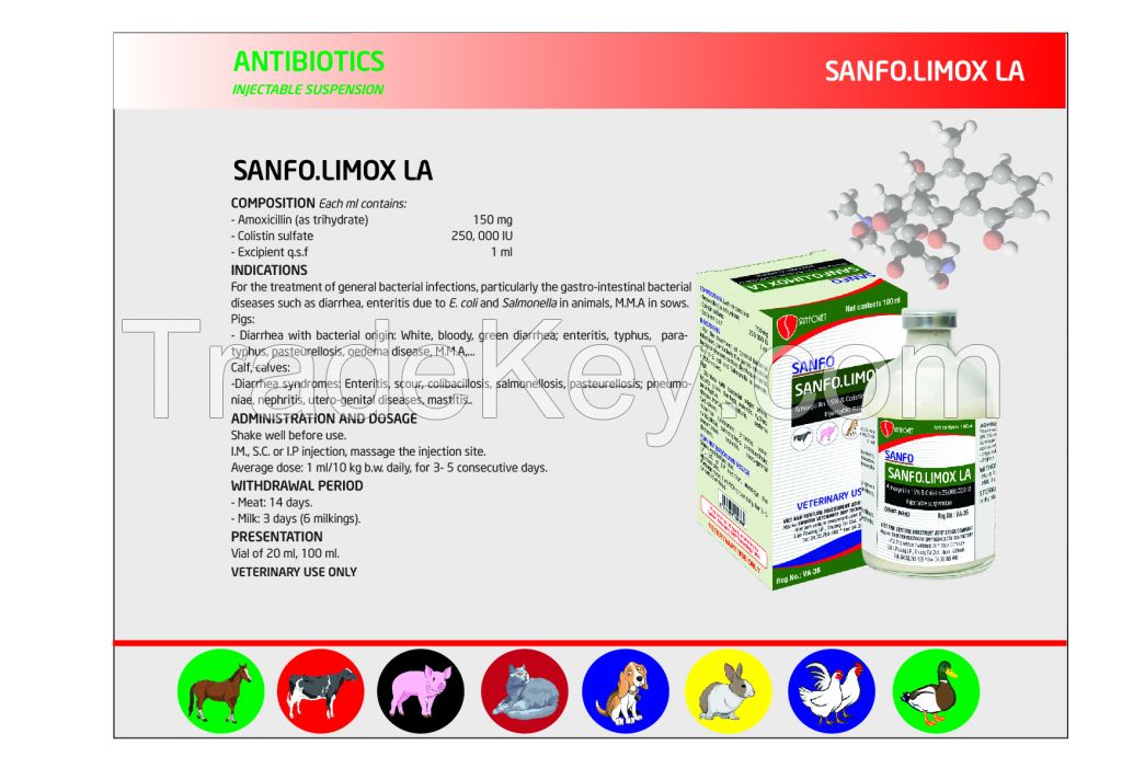 Sanfo.Limox LA