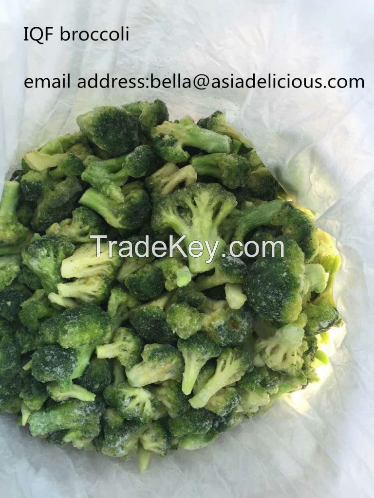 2016 crop IQF broccoli/ HACCP, KOSHER, BRC/ Grade A