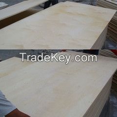Birch Plywood from Mega Industries direct sale