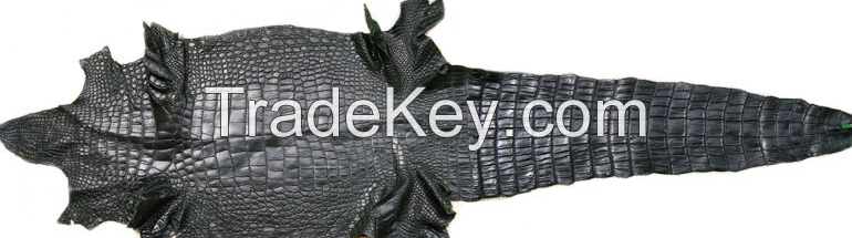 crocodile skin