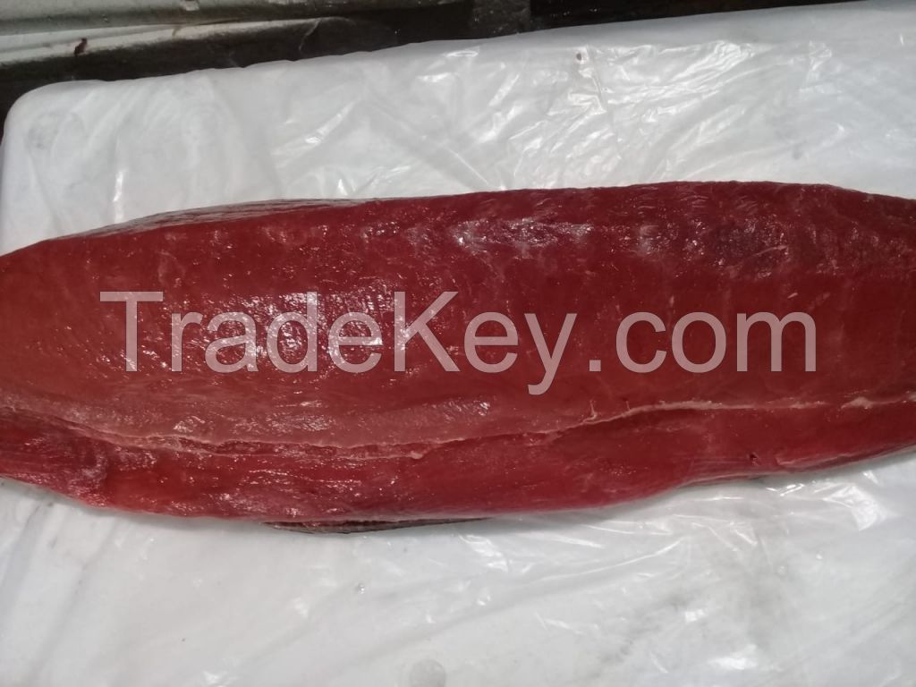 Fresh Frozen Tuna